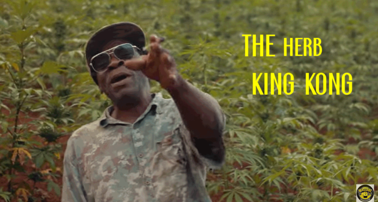 Video: King Kong - The Herb [Massive B]