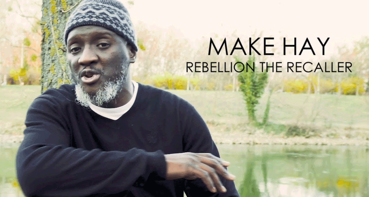 Audio: Rebellion The Recaller - Make Hay [Rootz Radicals]