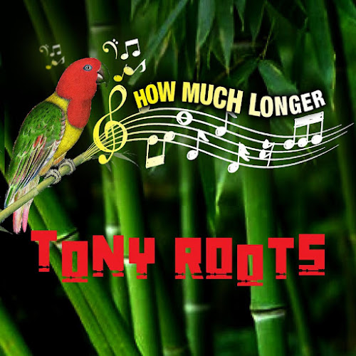 Tony Roots - How Much Longer