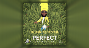 Perfect Giddimani - Got Trees feat. Young Shanty & Rasrap