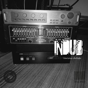 D|verz / Tekiko Jimu / Profd the selecta - Indub