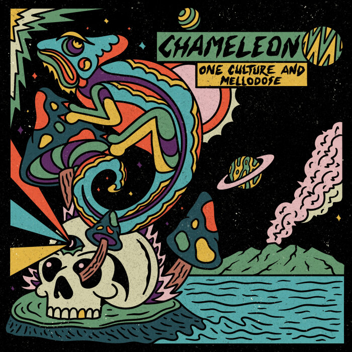 One Culture / Mellodose - Chameleon
