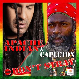 Apache Indian - Don't Stray