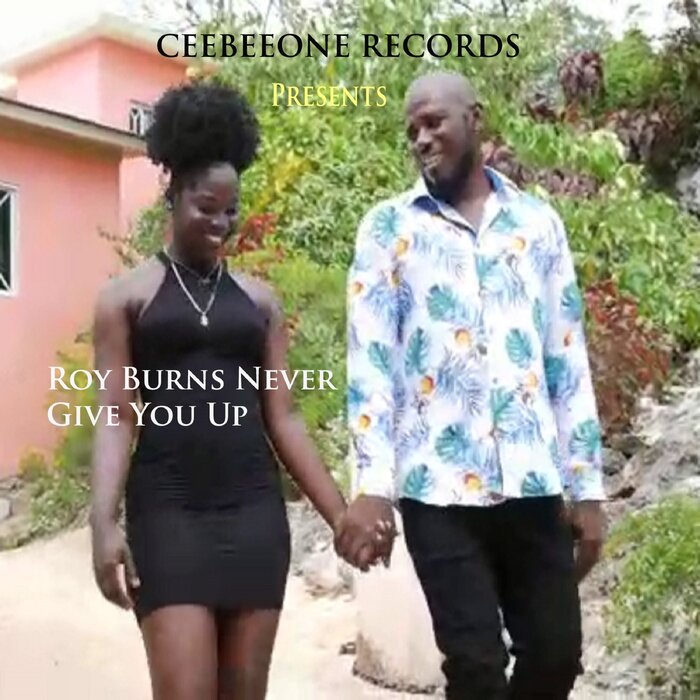 Roy Burns - Never Give You Up