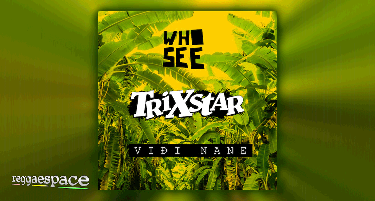 Who See & TriXstar - Viđi Nane