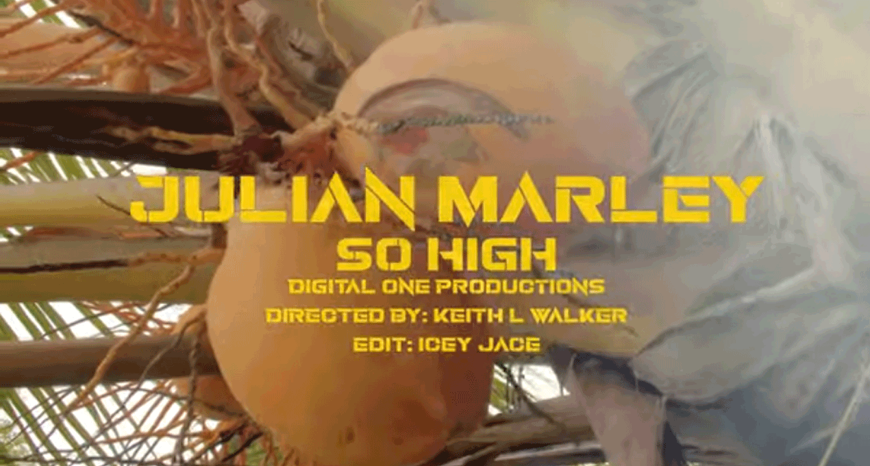 Video: Julian Marley - So High [Digital1 Productions]