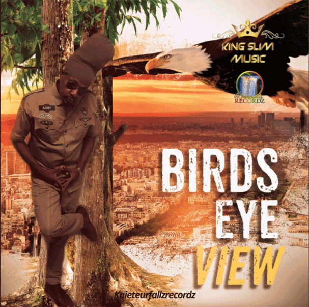 King Slim - Birds Eye View