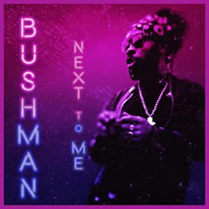 Bushman - Next To Me