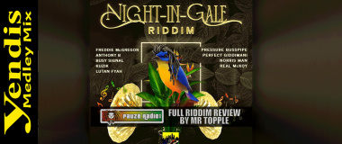 Yendis - Night in Gale Riddim Medley Mix