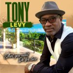 Tony Levy - What You Won't Do For Love