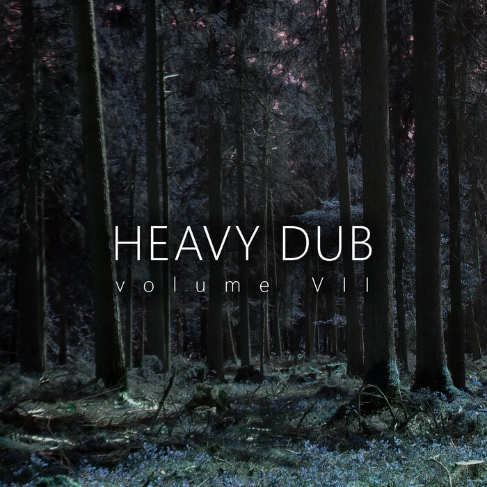 Various - Heavy Dub, Vol 7