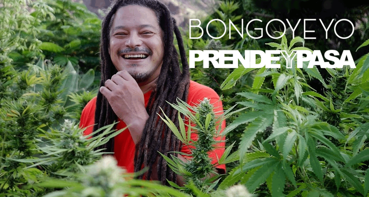 Audio: Bongoyeyo - Prende Y Pasa