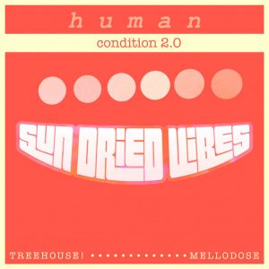 Sun-Dried Vibes / Mellodose feat TreeHouse! - Human Condition 2.0
