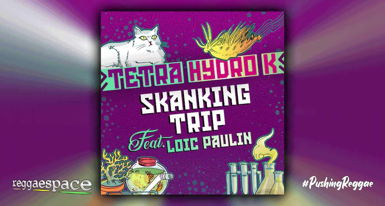 Tetra Hyro K feat. Loïc Paulin - Skanking Trip
