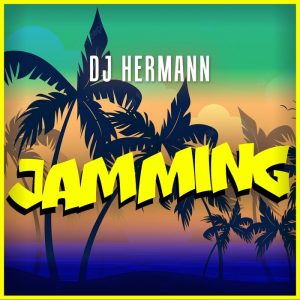 DJ Hermann - Jamming