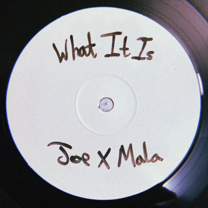 Joe Armon-Jones / Mala - What It Is