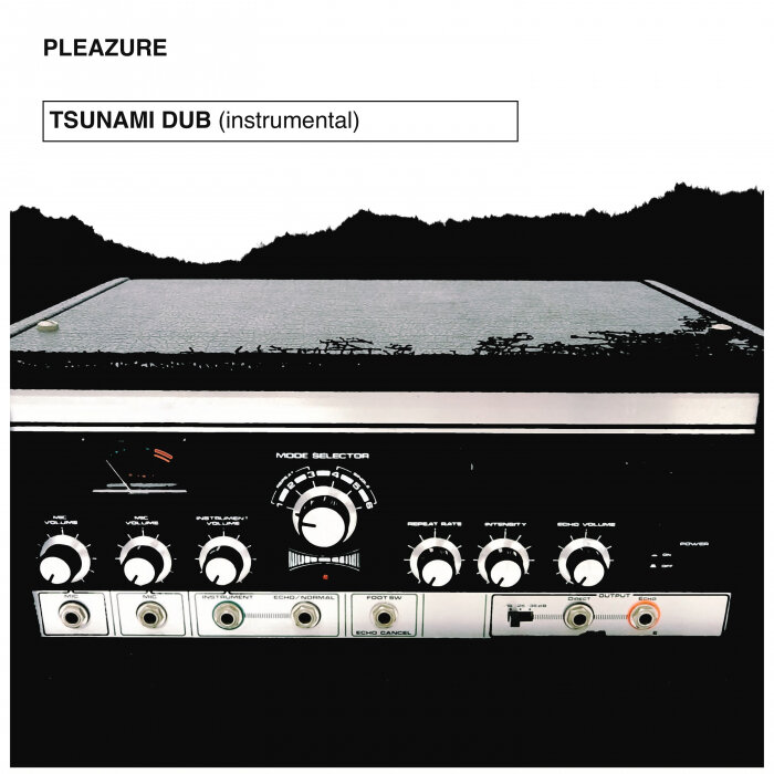 Pleazure - Tsunami Dub (Instrumental)