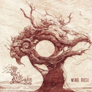 ?ole Dub - Wind Rose