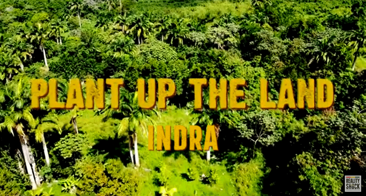 Audio: Indra - Plant Up The Land [Kris Kemist]