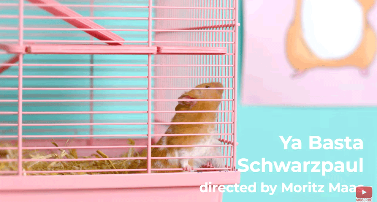 Audio: Schwarzpaul - Ya basta