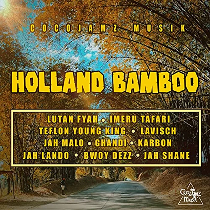 VARIOUS ARTISTS - Holland Bamboo