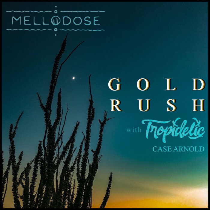 Mellodose / Tropidelic / Case Arnold - Gold Rush