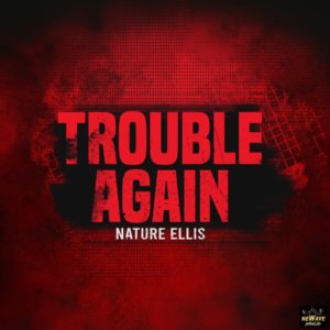 Newave Music & Nature Ellis - Trouble Again