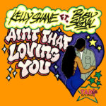 Kelly Shane Feat Busy Signal - Ain't That Loving You