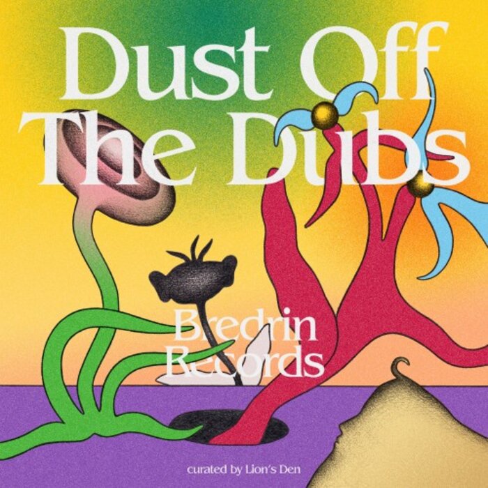 Bredrin Records - Dust Off The Dubs
