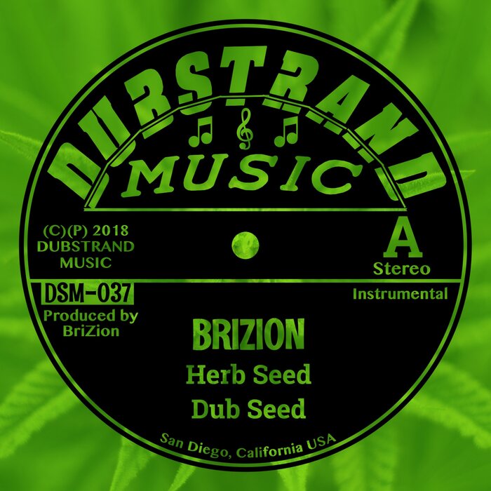 Brizion - Herb Seed