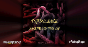 Audio: Turbulence – Where Did You Go [BigJoh & Zeeloh / Evidence Music]