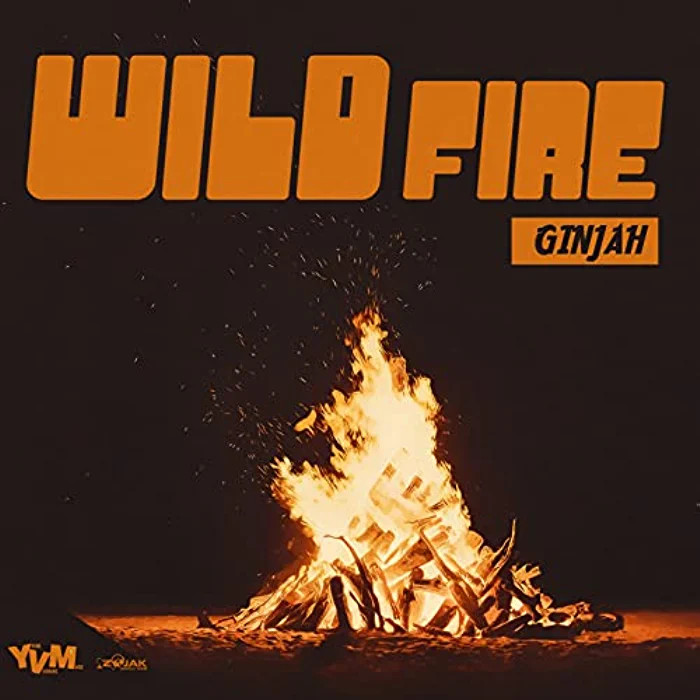 Ginjah - Wild Fire