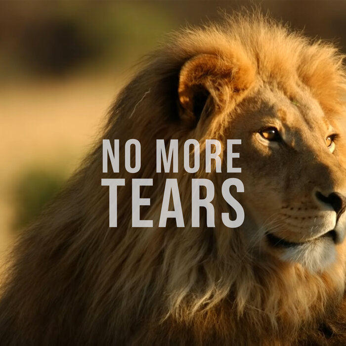 Lionriddims - No More Tears