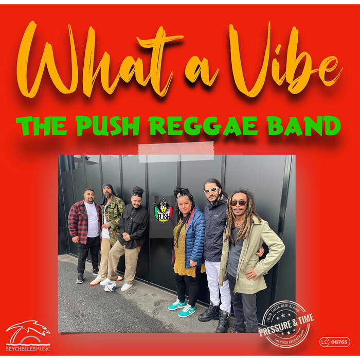 The Push Reggae Band - What A Vibe