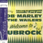 Bob Marley & The Wailers - Welcome To Dubrock Vol 1