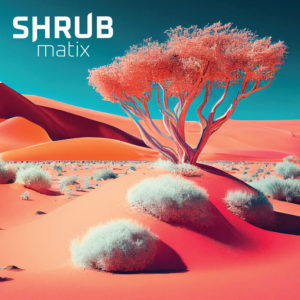 Shrub Feat Dubmatix - Shrubmatix
