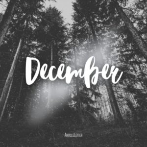 Articleletter - December