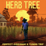 Perfect Giddimani & Yungg Trip - Herb Tree