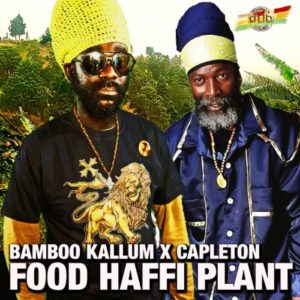 Bamboo Kallum / Capleton / Poorman Dub Sound - Food Haffi Plant