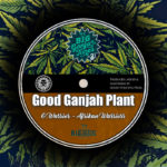 Afrikan Warriors / Good Over Evil - Good Ganjah Plant