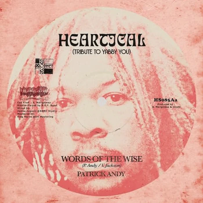 Patrick Andy & Heartical Sound - Words Of The Wise