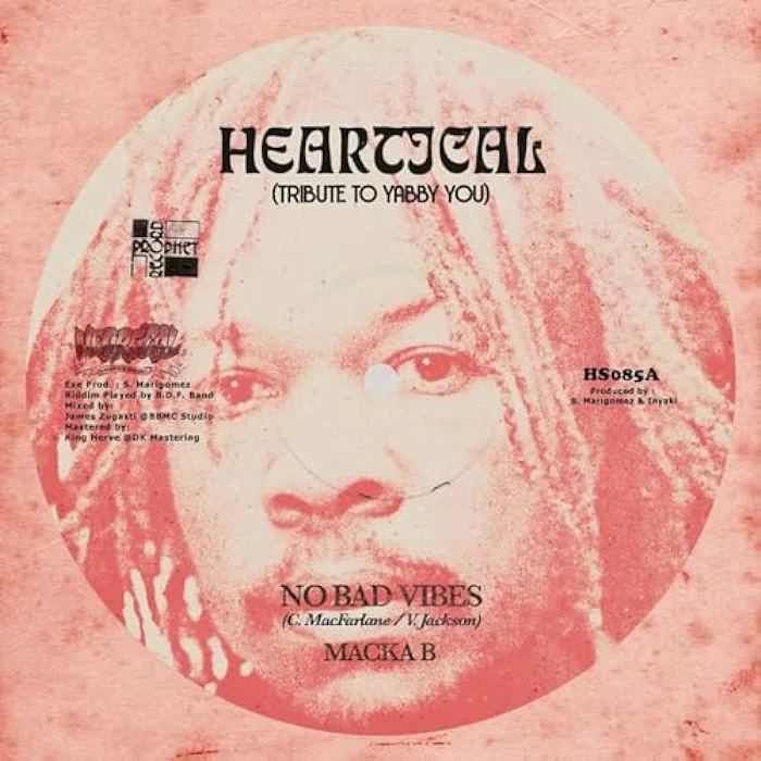 Macka B & Heartical Sound - No Bad Vibes