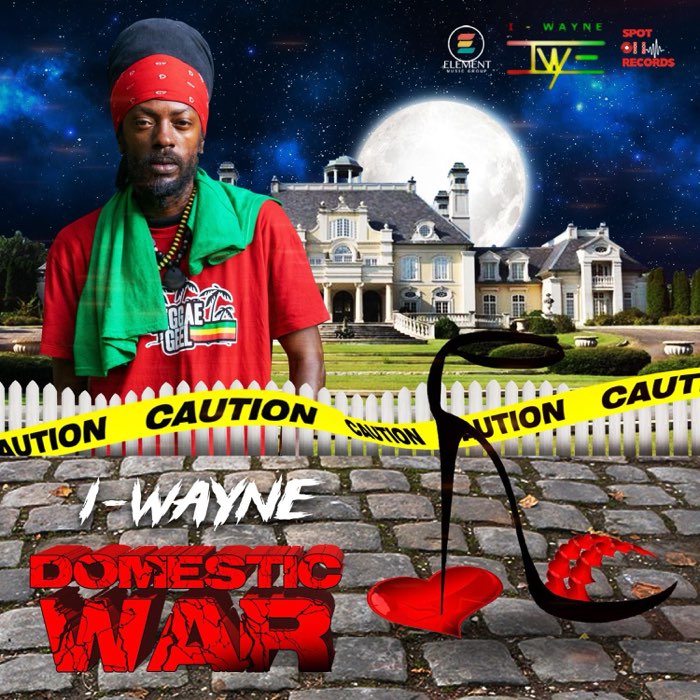 I Wayne - Domestic War