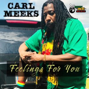 Carl Meeks - Feelings For You (Explicit)